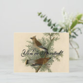 Audubon Cedar Waxwing Bird Einladung (Stehend Vorderseite)