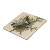Audubon Cedar Waxwing Bird Fliese (Seite)