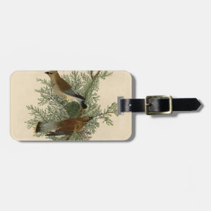 Audubon Cedar Waxwing Bird Gepäckanhänger