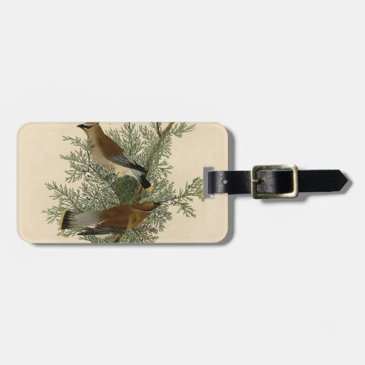 Audubon Cedar Waxwing Bird Gepäckanhänger (Vorderseite horizontal)