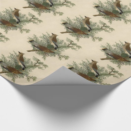 Audubon Cedar Waxwing Bird Geschenkpapier (Ecke)
