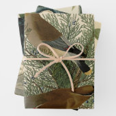 Audubon Cedar Waxwing Bird Geschenkpapier Set (Beispiel)