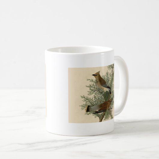 Audubon Cedar Waxwing Bird Kaffeetasse (VorderseiteRechts)