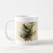 Audubon Cedar Waxwing Bird Kaffeetasse (Links)