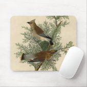 Audubon Cedar Waxwing Bird Mousepad (Mit Mouse)