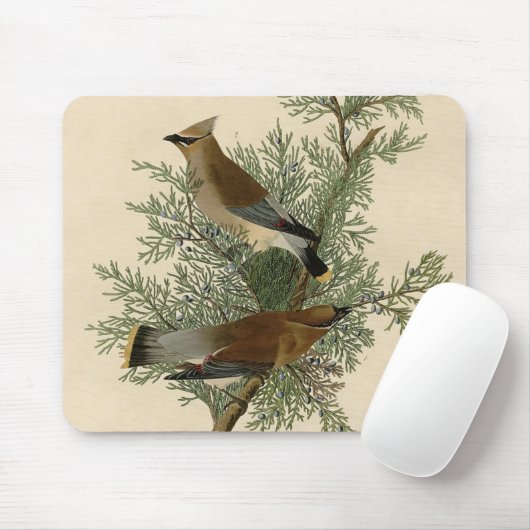Audubon Cedar Waxwing Bird Mousepad (Mit Mouse)
