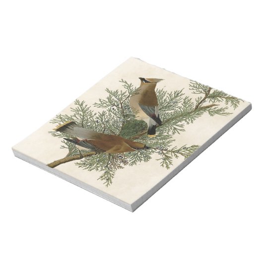 Audubon Cedar Waxwing Bird Notizblock (Rotiert)