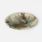 Audubon Cedar Waxwing Bird Pappteller (Schrägansicht)