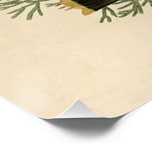 Audubon Cedar Waxwing Bird Poster (Ecke)