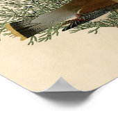 Audubon Cedar Waxwing Bird Poster (Ecke)