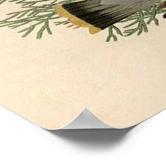 Audubon Cedar Waxwing Bird Poster (Ecke)