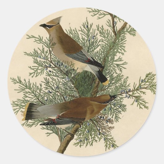Audubon Cedar Waxwing Bird Runder Aufkleber (Vorderseite)