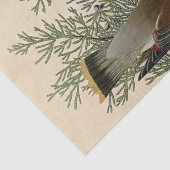 Audubon Cedar Waxwing Bird Seidenpapier (Detail)