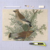Audubon Cedar Waxwing Bird Seidenpapier (Handwerk)