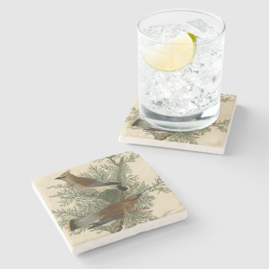 Audubon Cedar Waxwing Bird Steinuntersetzer (Seitenansicht)