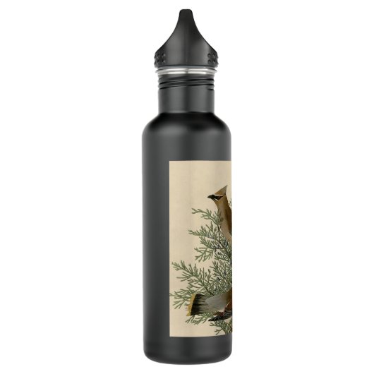 Audubon Cedar Waxwing Bird Trinkflasche (Links)