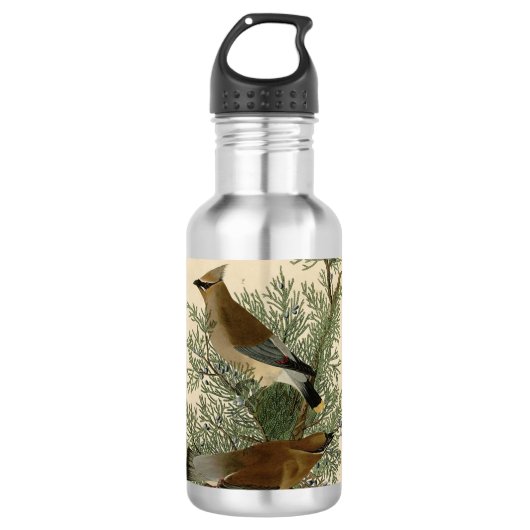 Audubon Cedar Waxwing Bird Trinkflasche (Vorderseite)