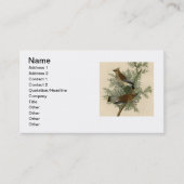 Audubon Cedar Waxwing Bird Visitenkarte (Vorderseite)