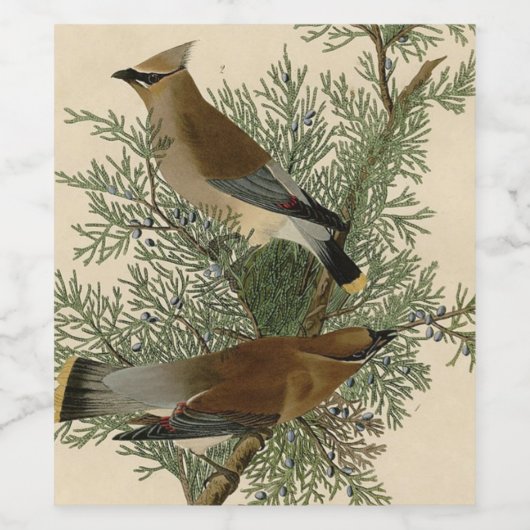 Audubon Cedar Waxwing Bird Weinetikett (Einzelnes Label)