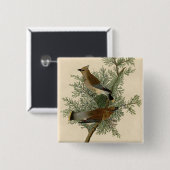 Audubon Cedar Waxwing Button (Vorne & Hinten)