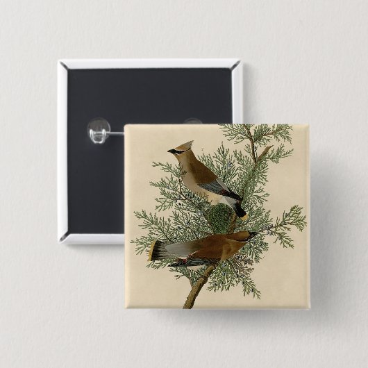 Audubon Cedar Waxwing Button (Vorne & Hinten)