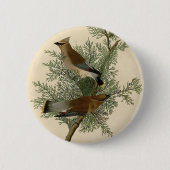 Audubon Cedar Waxwing Button (Vorderseite)