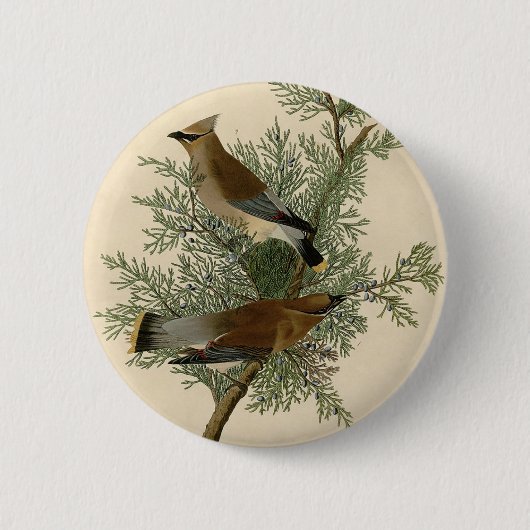 Audubon Cedar Waxwing Button (Vorderseite)