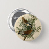 Audubon Cedar Waxwing Button (Vorne & Hinten)