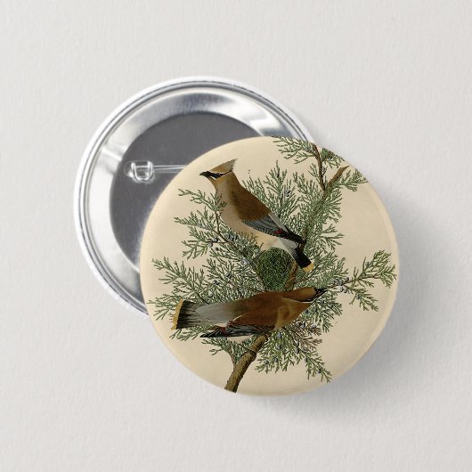 Audubon Cedar Waxwing Button (Vorne & Hinten)