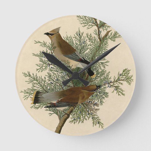 Audubon Cedar Waxwing Runde Wanduhr (Vorderseite)