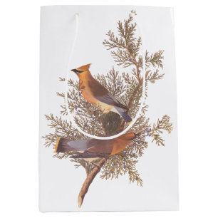 Audubon Cedar Waxwing Songbirds in Junior Mittlere Geschenktüte