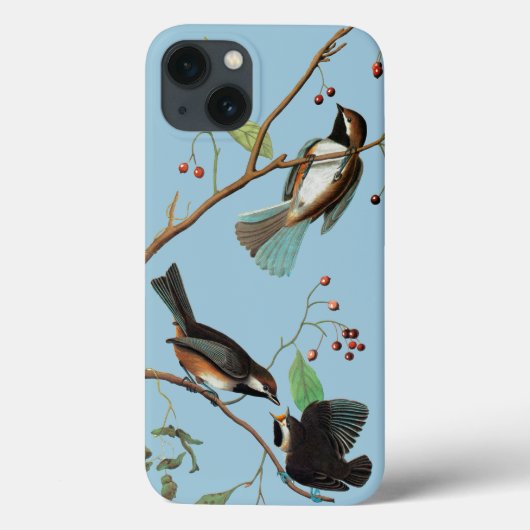 Audubon: Chickadee Case-Mate iPhone Hülle (Rückseite)