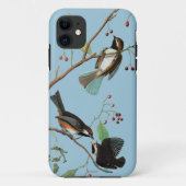Audubon: Chickadee Case-Mate iPhone Hülle (Rückseite)