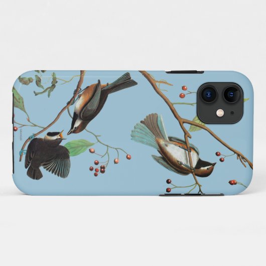 Audubon: Chickadee Case-Mate iPhone Hülle (Rückseite (Horizontal))