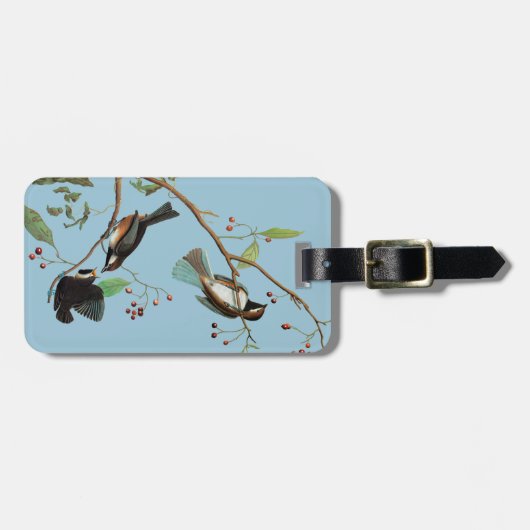 Audubon: Chickadee Gepäckanhänger (Vorderseite horizontal)