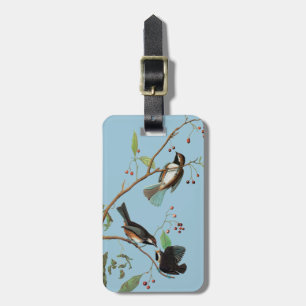 Audubon: Chickadee Gepäckanhänger