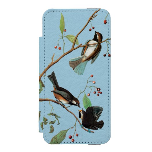 Audubon: Chickadee Incipio iPhone Geldbeutel-Hülle (Folio Vorderseite)