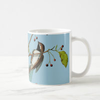 Audubon: Chickadee