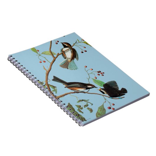 Audubon: Chickadee Notizblock (Rechte Seite)