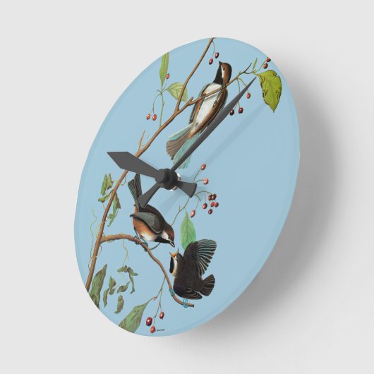 Audubon: Chickadee Runde Wanduhr (Winkel)