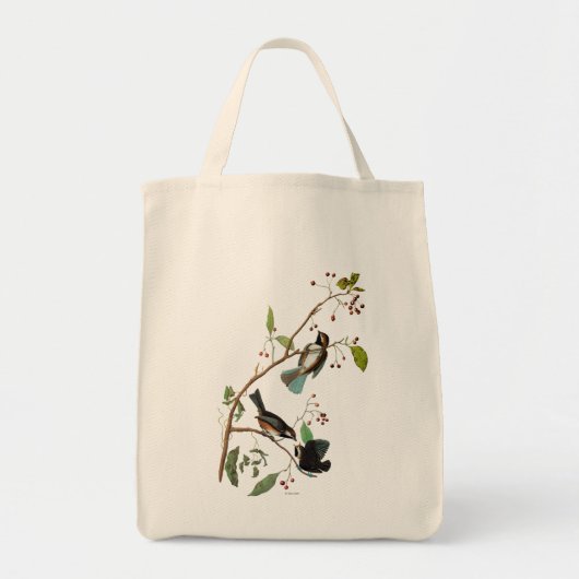Audubon: Chickadee Tragetasche (Vorne)