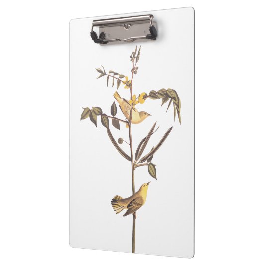 Audubon Children's Warbler Songbird Klemmbrett (Links)