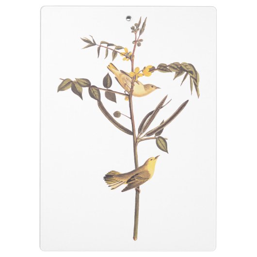 Audubon Children's Warbler Songbird Klemmbrett (Rückseite)