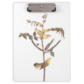 Audubon Children's Warbler Songbird Klemmbrett (Vorderseite)