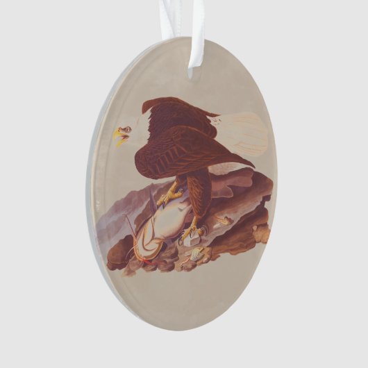 Audubon Classic Bald Eagle mit frischem Fisch Ornament (Vorderseite)