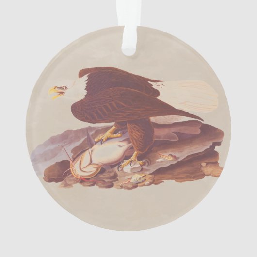 Audubon Classic Bald Eagle mit frischem Fisch Ornament (Rückseite)