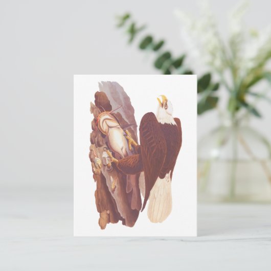 Audubon Classic Bald Eagle mit frischem Fisch Postkarte (Stehend Vorderseite)