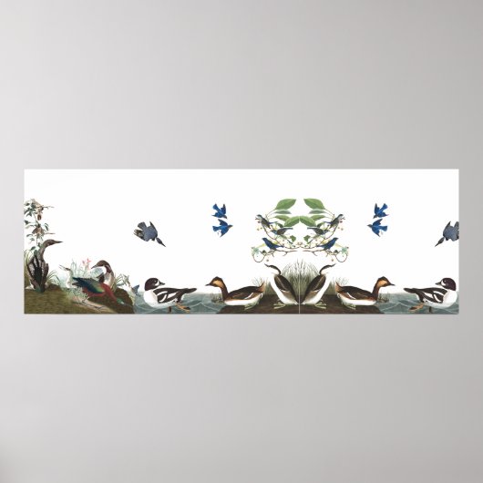 Audubon Collage Birds Animal Wildlife Poster 1 (Vorne)