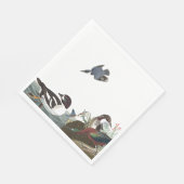 Audubon Collage Birds Wildlife Paper Napkins Serviette (Ecke)