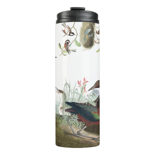 Audubon Collage Vogel-der Tiertier-Trommel Thermosbecher (Vorderseite)